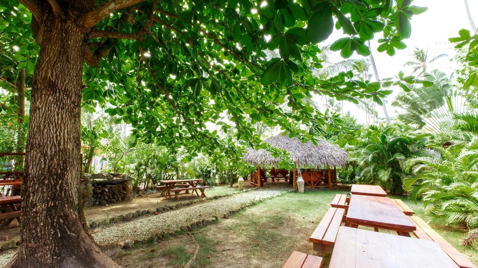 Tropicana Studios Playa Los Corales プンタ・カナ ホテル