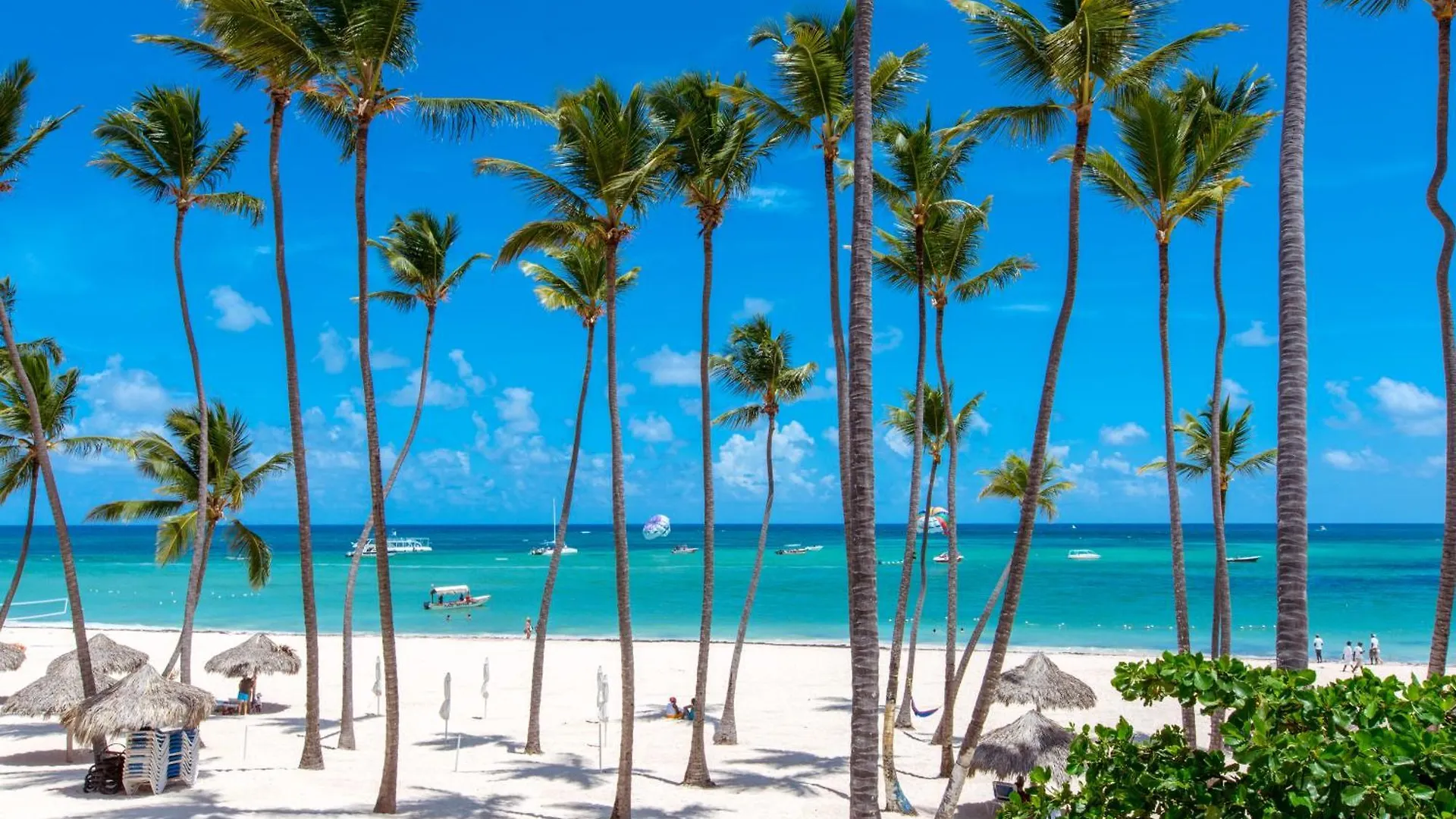Tropicana Studios Playa Los Corales プンタ・カナ ホテル