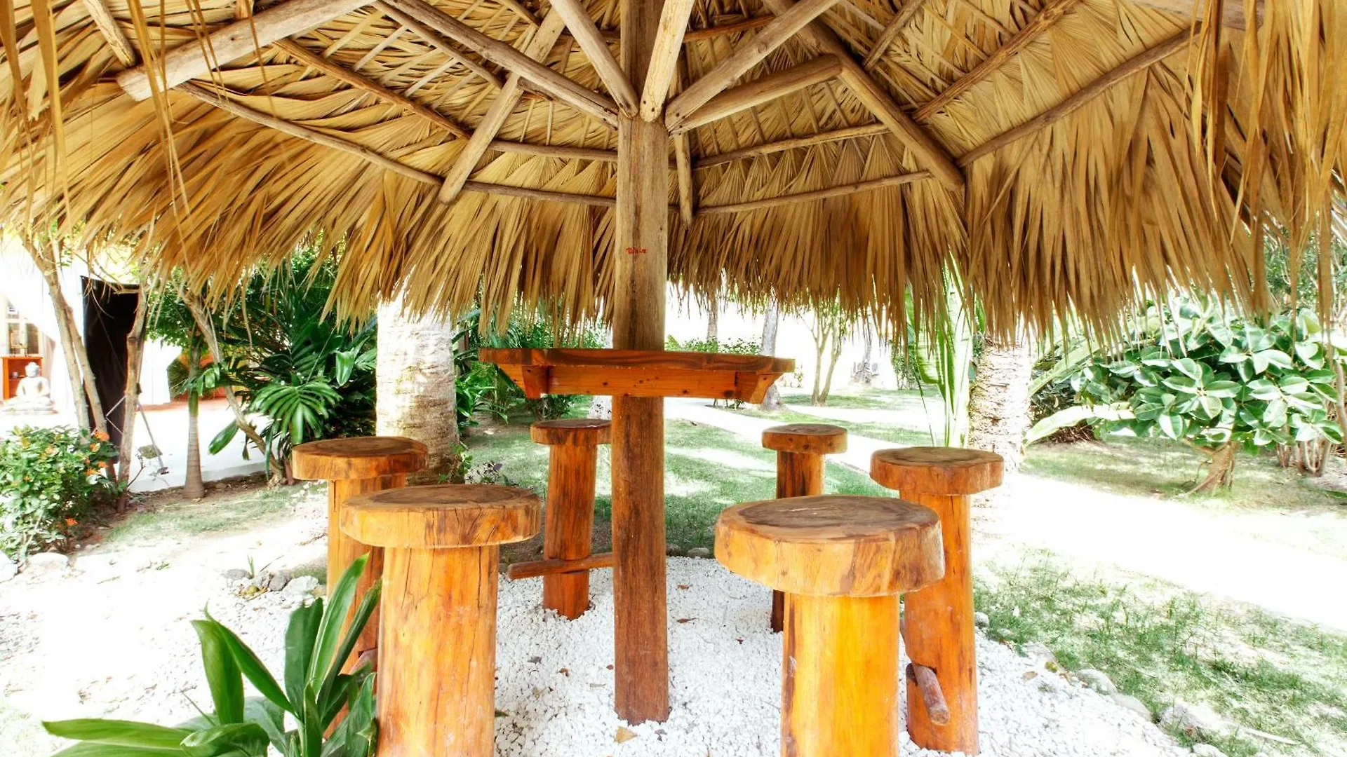 ***** Hotel Tropicana Studios Playa Los Corales Punta Cana República Dominicana